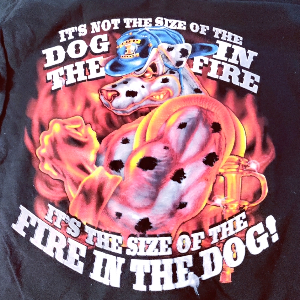 Powerful Firedog men's Tee shirt
